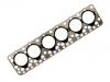 Cylinder Head Gasket:55002500