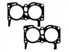 Junta de culata Cylinder Head Gasket:1 446 447