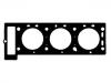 Cylinder Head Gasket:1 008 324