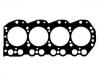 Cylinder Head Gasket:11044-54T06