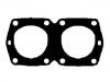 Cylinder Head Gasket:4387611