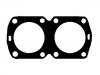 Cylinder Head Gasket:4270053