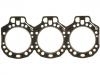 اسطوانة رئيس طوقا Cylinder Head Gasket:355 016 04 20