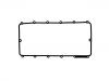 Valve Cover Gasket:1 760 800