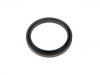 Oil Seal:021 997 69 47