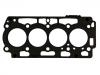 اسطوانة رئيس طوقا Cylinder Head Gasket:0209.JQ