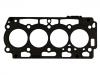 اسطوانة رئيس طوقا Cylinder Head Gasket:0209.JN