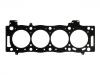 اسطوانة رئيس طوقا Cylinder Head Gasket:0209.GA